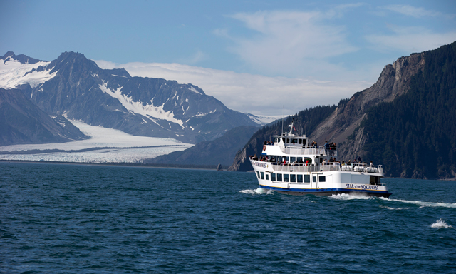 Seward Wildlife Cruise with Lunch and Airport Drop-off