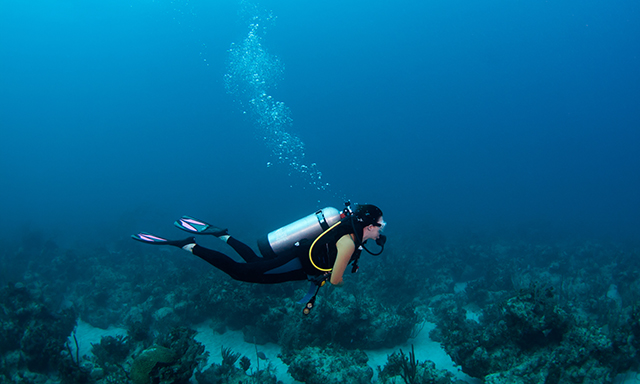 padi scuba diver certification course