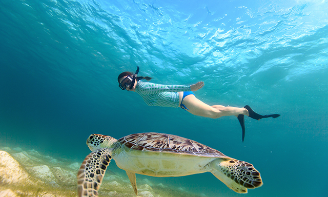 Onboard Experience Royal Caribbean International Snorkel And Coco Beach Break