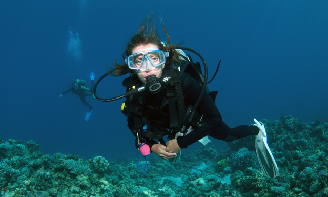 St. Maarten Scuba Dive Without Equipment